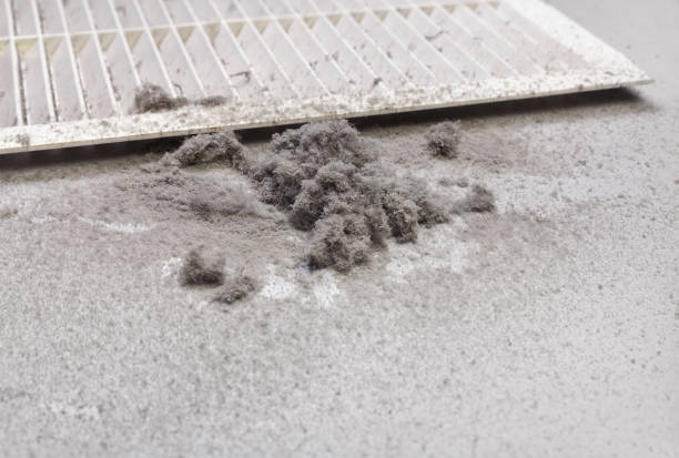 Best Professional Duct Cleaning Services  in Lake Shore, WA