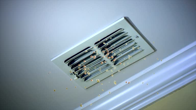 Best Air Duct Cleaning Near Me  in Lake Shore, WA